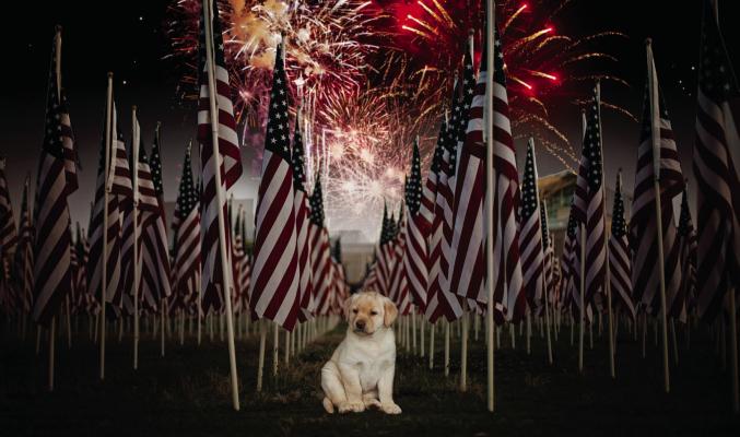 Before heading out to enjoy fireworks shows, make sure your pets aren’t in danger of becoming lost if they get frightened by fireworks. The safest place for your pet is at home while you enjoy 4th of July festivities. Kathleen Guill | Press-Leader